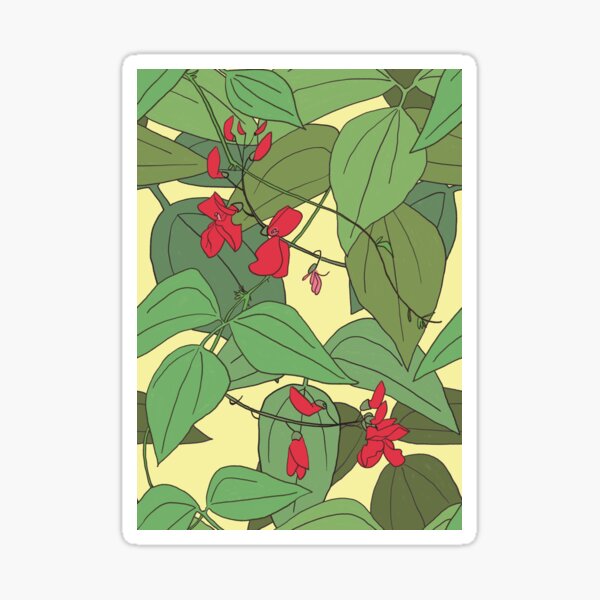 Scarlet runner beans pattern 2 Sticker