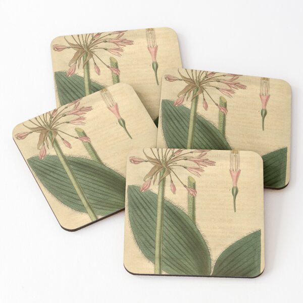 Item preview, Curtis's botanical magazine (Plate 3373) (8203293458) designed and sold by EsotericBotanic.