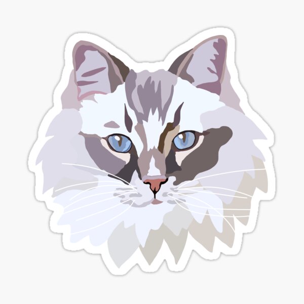 Ragdoll Cat Sticker by katdrawsit for iOS & Android