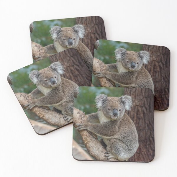 Item preview, Koala watching  designed and sold by Luke Foster.
