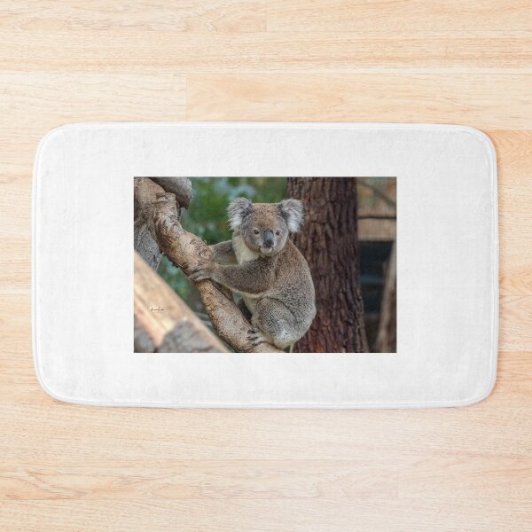 Item preview, Koala watching  designed and sold by Luke Foster.