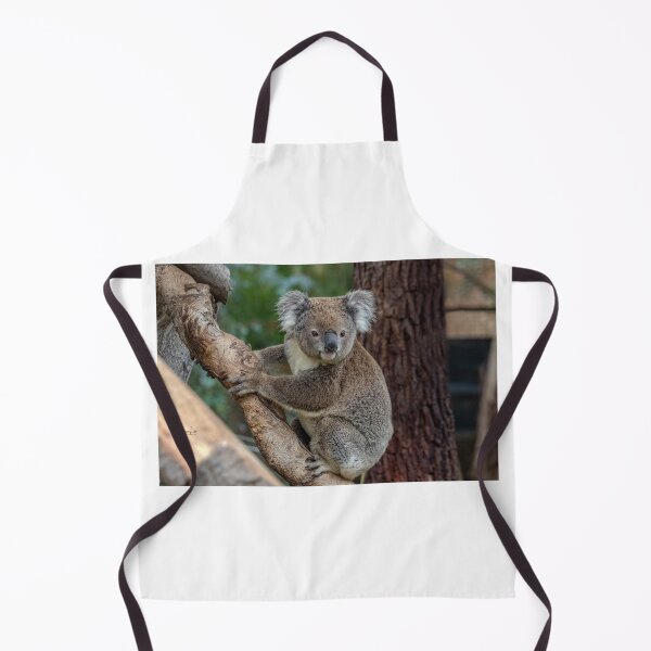 Artikelvorschau, Koala beobachten entworfen und verkauft von Luke Foster.