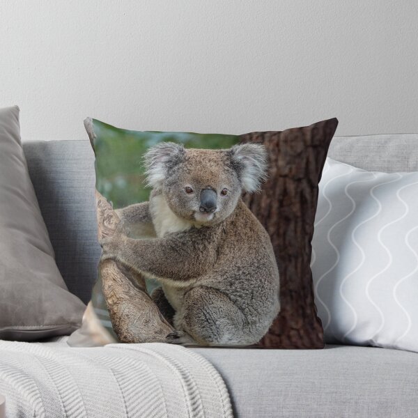 Item preview, Koala watching  designed and sold by Luke Foster.
