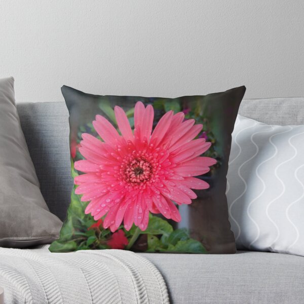 Item preview, Barberton Daisy designed and sold by ChanuDesigns.