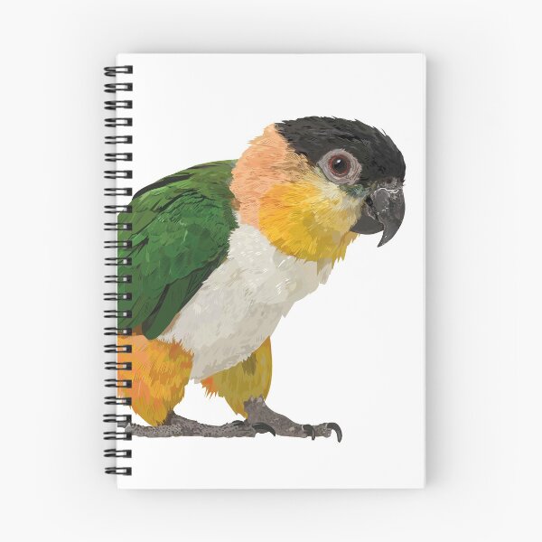 Item preview,  black headed caique designed and sold by obscurite.