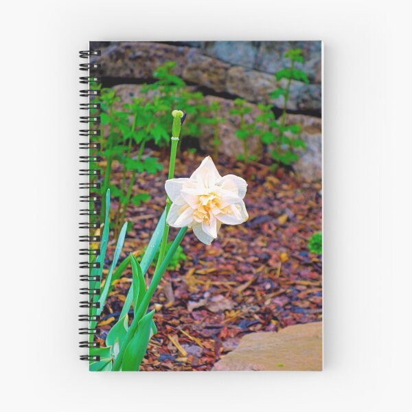 Item preview, KE Garden Study 2  designed and sold by Robert Meyers-Lussier.