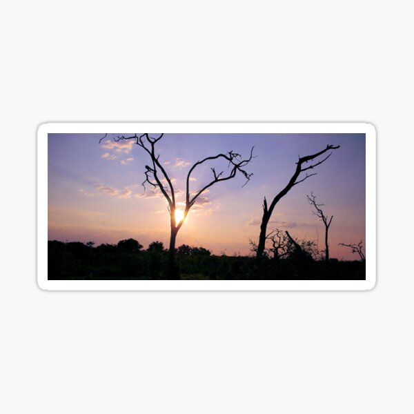 Vista previa del artículo con la obra «Atardecer de Chobe», diseñado y vendido por Bernadette Maurer.