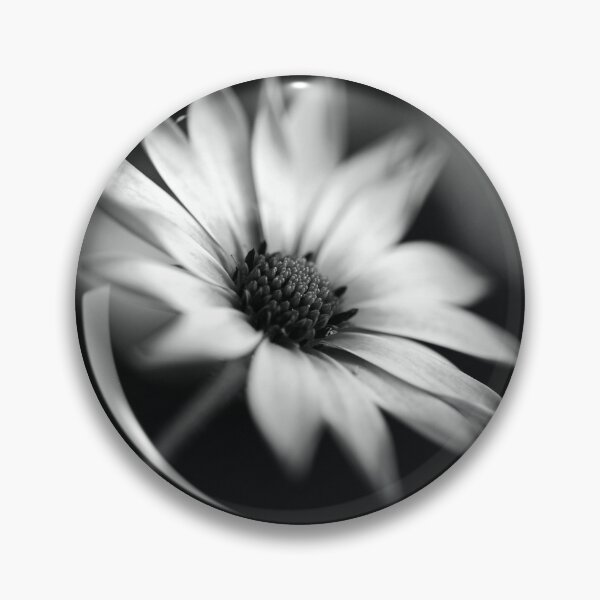 Item preview, Cape Daisy BW Flower designed and sold by Joy Watson - Natural Light Photography .