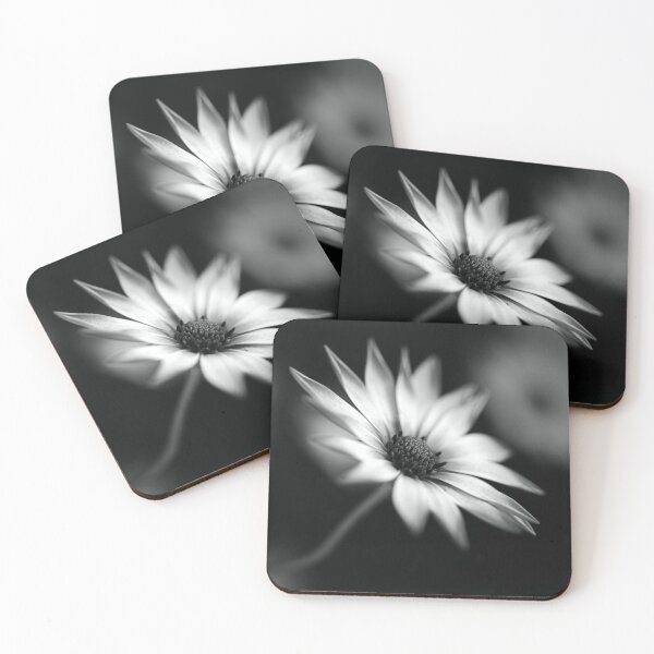 Item preview, Cape Daisy BW Flower designed and sold by Joy Watson - Natural Light Photography .