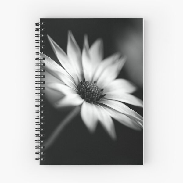 Item preview, Cape Daisy BW Flower designed and sold by Joy Watson - Natural Light Photography .
