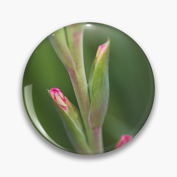 Item preview, Sword Lily Has Buds designed and sold by Joy Watson - Natural Light Photography .
