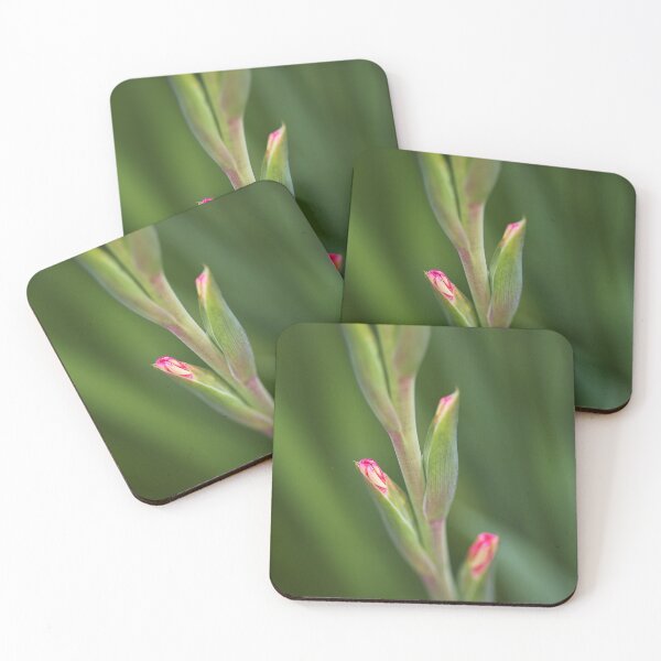 Item preview, Sword Lily Has Buds designed and sold by Joy Watson - Natural Light Photography .