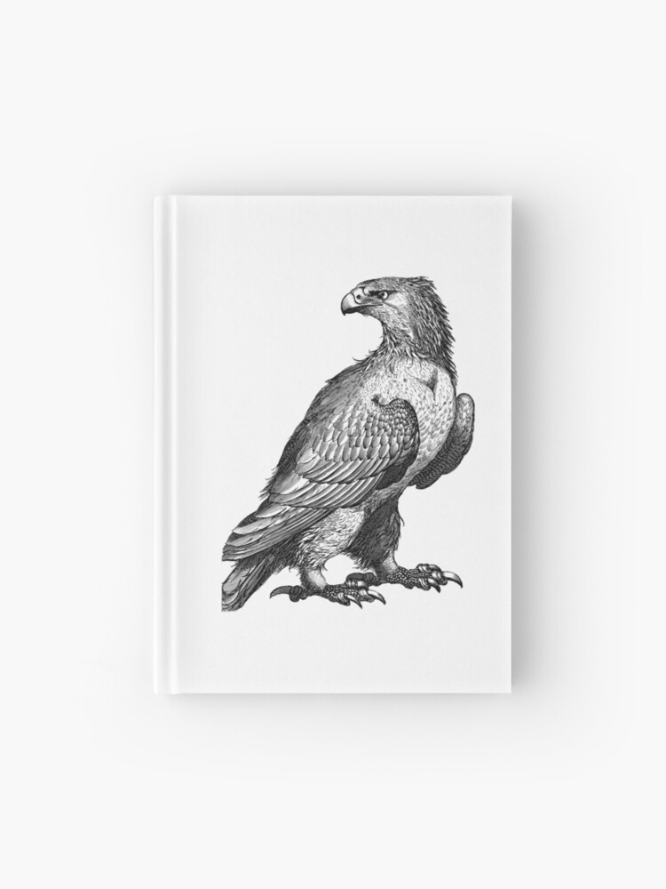 Cuaderno de tapa dura «Impresión de boceto de águila» de GurpreetSingh1 |  Redbubble
