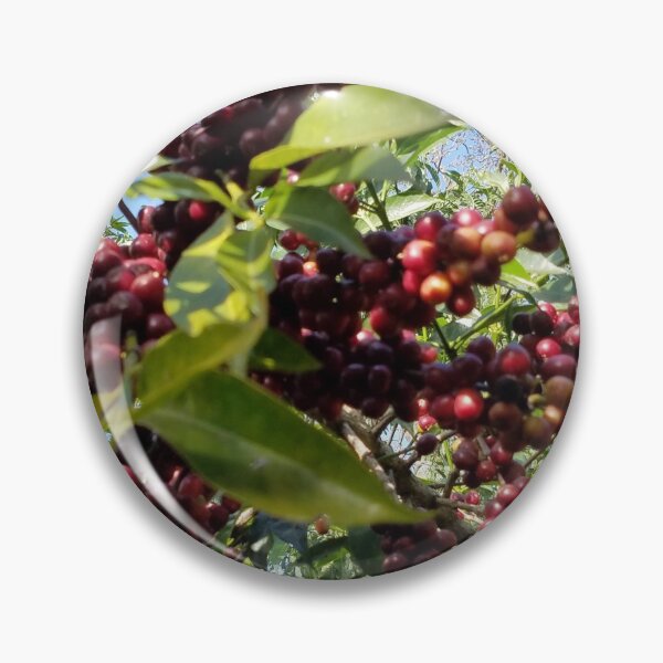 Item preview, Coffee Tree in Oromia designed and sold by OroCan.