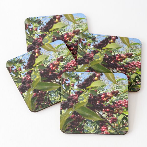 Item preview, Coffee Tree in Oromia designed and sold by OroCan.