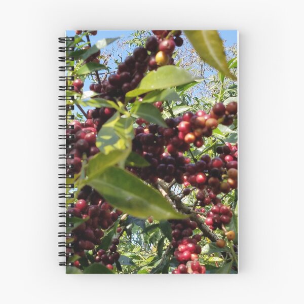 Item preview, Coffee Tree in Oromia designed and sold by OroCan.