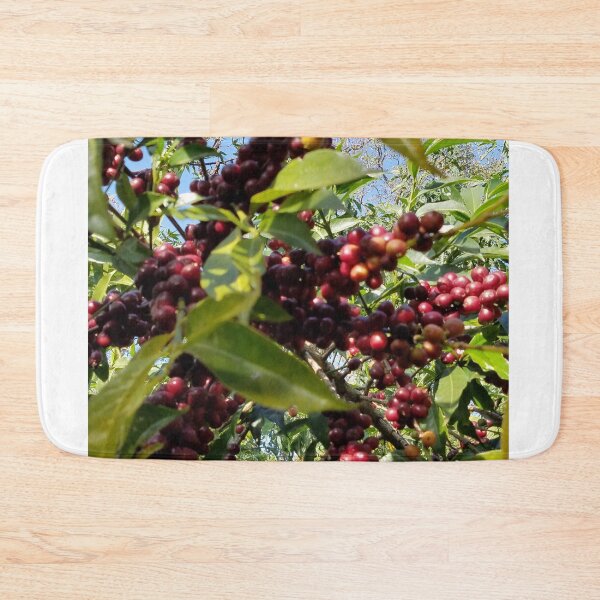 Item preview, Coffee Tree in Oromia designed and sold by OroCan.