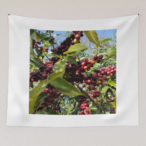 Item preview, Coffee Tree in Oromia designed and sold by OroCan.