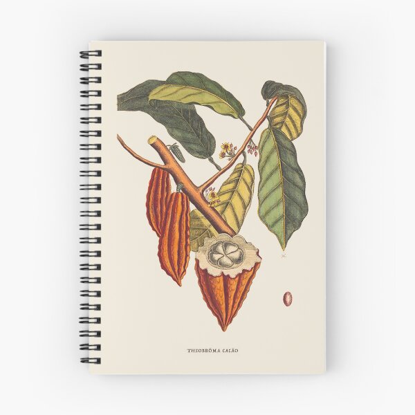 Item preview, Cacao Tree Antique Botanical Illustration designed and sold by Antiquated Art.