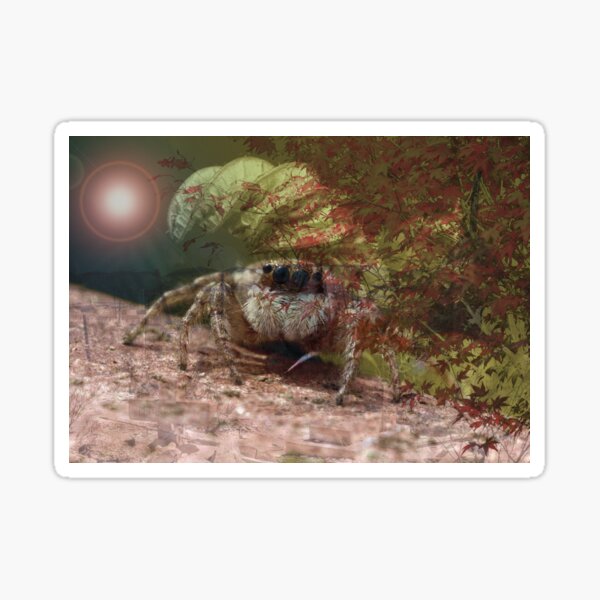 Tarantula Sticker