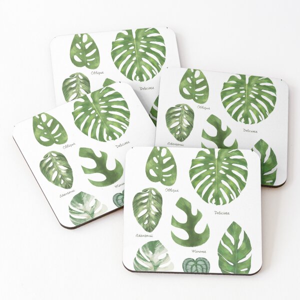 Item preview, Monstera varieties illustration foliage leaf species designed and sold by Onyria Art.