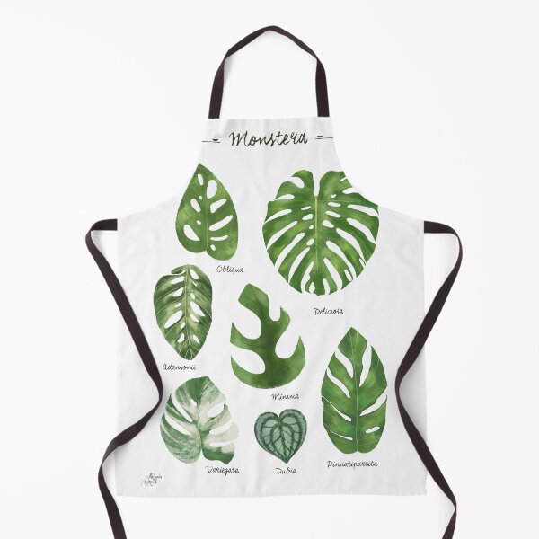 Item preview, Monstera varieties illustration foliage leaf species designed and sold by Onyria Art.