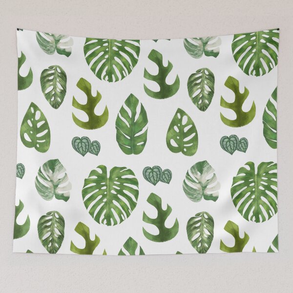 Item preview, Monstera varieties illustration foliage leaf species designed and sold by Onyria Art.