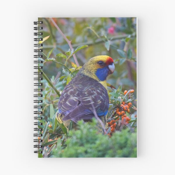 Item preview, PARROT ~ Green Rosella Z75DH855 by David Irwin ~ WO designed and sold by tasmanianartist.