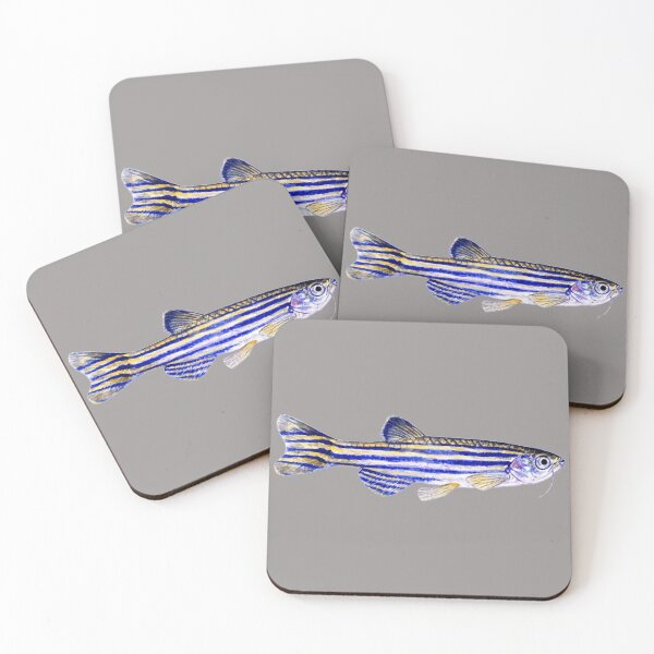 Item preview, fresh water zebrafish designed and sold by lesliecorkery.