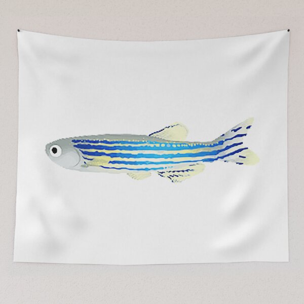 Item preview, zebrafish cartoon designed and sold by lesliecorkery.