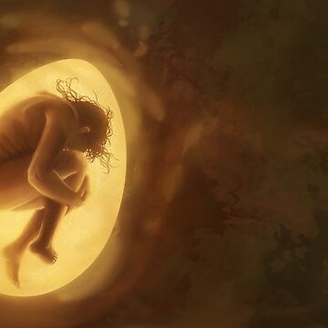 Artwork thumbnail, Egg by Samuel Hardidge