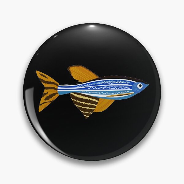 Item preview, zebrafish vector designed and sold by lesliecorkery.