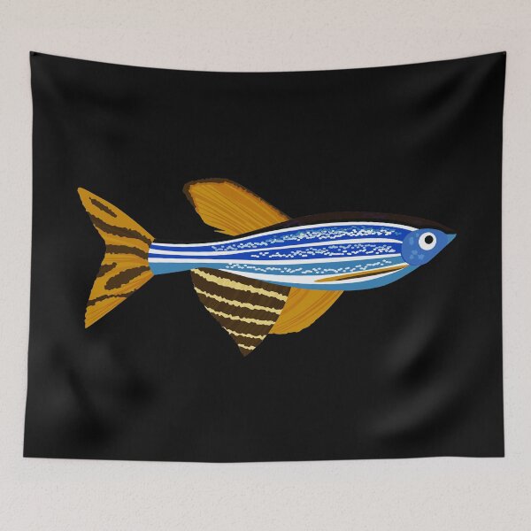 Item preview, zebrafish vector designed and sold by lesliecorkery.