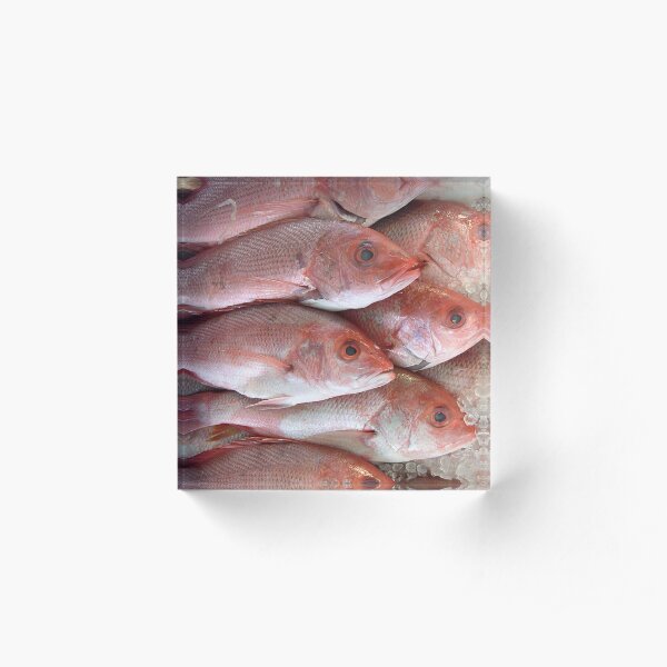 Fische | Fischgruppe | Salmon Art Jack Joblin Acrylblock