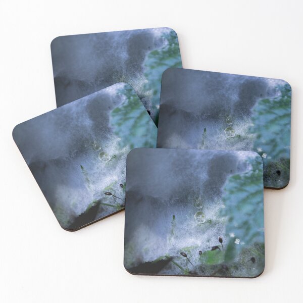 Item preview, Moldy web designed and sold by RavenneArt.