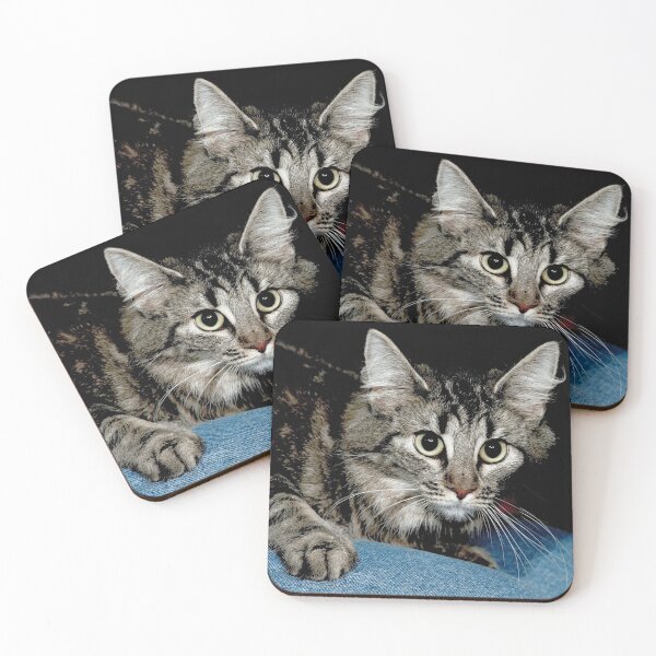 Artikelvorschau, r2742/ 3 " avec 3 flahs Okaio - Les Chats du temps de l'Argentique - Cats from the time of the film " (h) Olavia-Olao Okaio Créations entworfen und verkauft von o.okaïo.