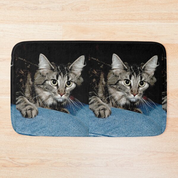 Item preview, r2742/ 3 " avec 3 flahs Okaio -  Les Chats du temps de l'Argentique - Cats from the time of the film "  (h) Olavia-Olao Okaio Créations designed and sold by o.okaïo.