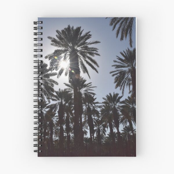 Item preview, Palm Trees in Israel designed and sold by DanaLauraPhoto.