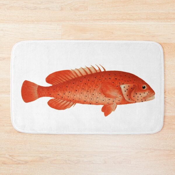 Item preview, tropical red vintage fish illustration  designed and sold by TrippyEarth.