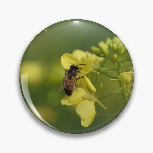 Item preview, Bee and Flower in Israel designed and sold by DanaLauraPhoto.
