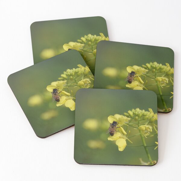 Item preview, Bee and Flower in Israel designed and sold by DanaLauraPhoto.