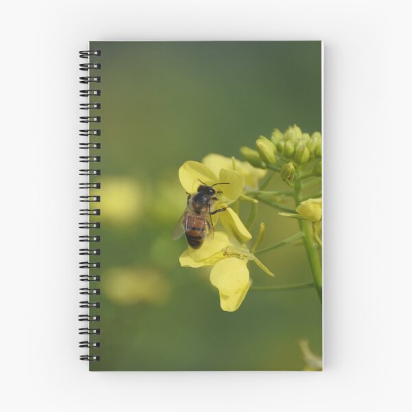 Item preview, Bee and Flower in Israel designed and sold by DanaLauraPhoto.
