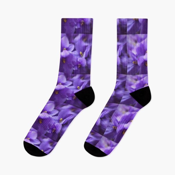 Item preview, Violets  designed and sold by ArtbyDanya.