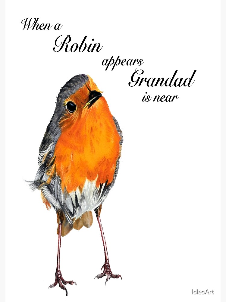 Personalised Robin Sketch Print Scarf By My Posh Shop