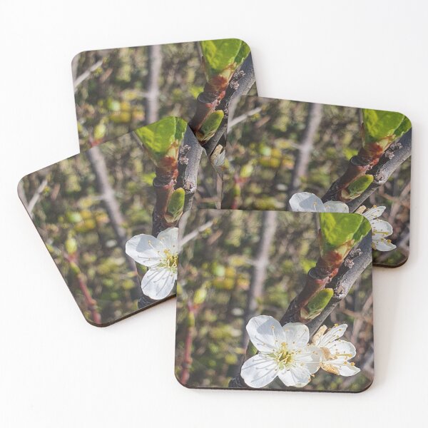 Item preview, Flower Photography Isle of Sheppey designed and sold by s10-Photography.