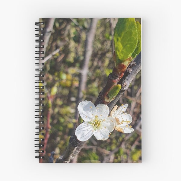 Item preview, Flower Photography Isle of Sheppey designed and sold by s10-Photography.