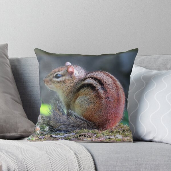 Item preview, Cute Chipmunk 2 designed and sold by Carolyn  Fletcher.