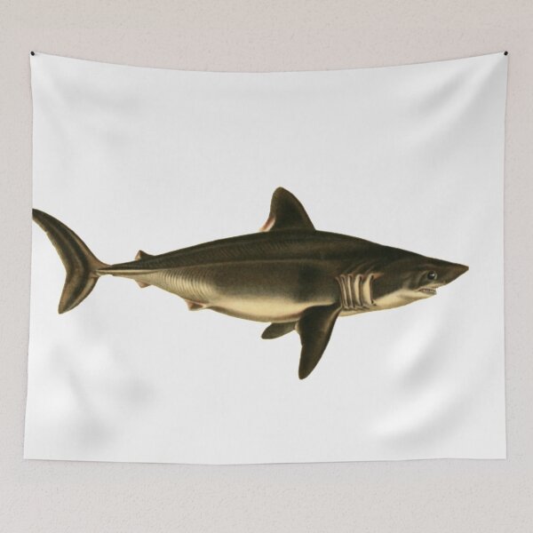 Item preview, Illustrated shark design designed and sold by TrippyEarth.