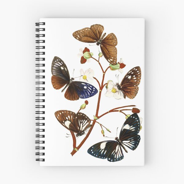 Item preview, Vintage Illustration Butterflies on a Plant designed and sold by VintageBotany.