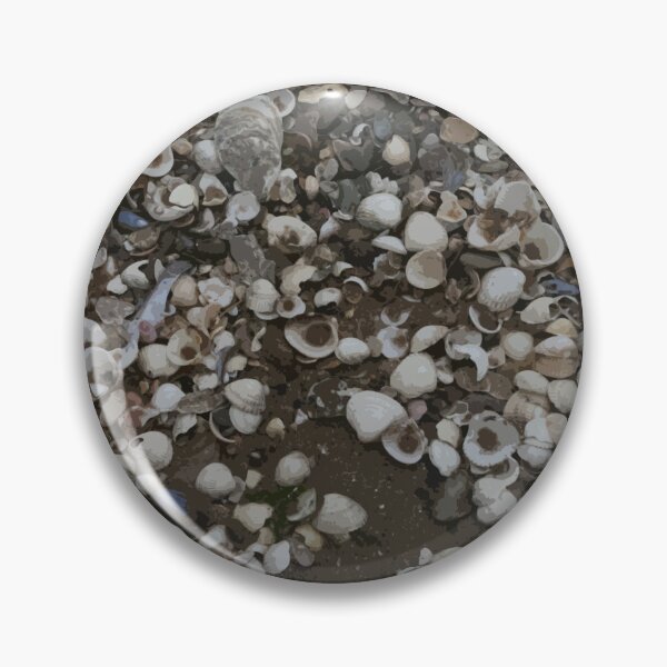 Item preview, Sea Shells designed and sold by Colin Bentham.